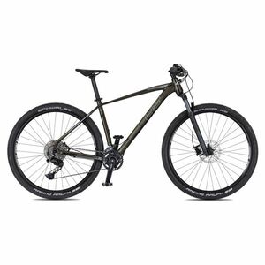 Horské kolo 4EVER Firetrack 29'' - model 2025 XL (21", 185-202 cm) pearl black / hologram obraz