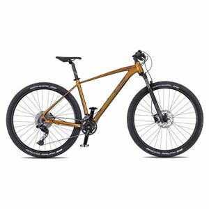 Horské kolo 4EVER Firetrack 29'' - model 2025 XL (21", 185-202 cm) dark gold / iron obraz
