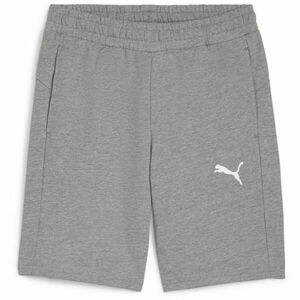 Puma TEAMGOAL CASUALS SHORTS Pánské kraťasy, šedá, velikost obraz