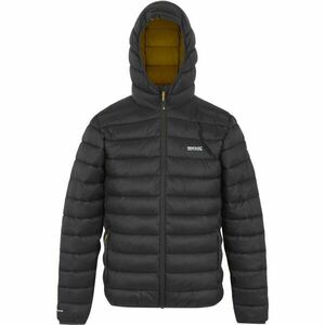 REGATTA OUTDOORS MARIZION Pánská bunda, tmavě šedá, velikost obraz