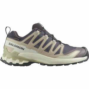 Salomon XA PRO 3D V9 GTX W Dámská obuv na trailový běh, béžová, velikost 41 1/3 obraz