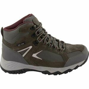 ALPINE PRO ROMOOS Dámská kotníková outdoorová obuv, šedá, velikost obraz
