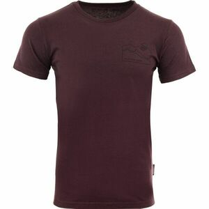 ALPINE PRO BREJ Pánské triko, vínová, velikost obraz
