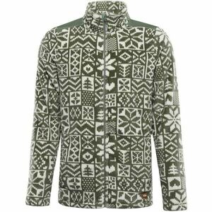 ALPINE PRO EFLIN Pánská fleecová mikina, zelená, velikost obraz