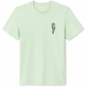 CELIO JEBEACH Pánské tričko, světle zelená, velikost obraz