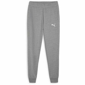 Puma TEAMGOAL CASUALS PANTS Pánské tréninkové kalhoty, šedá, velikost obraz