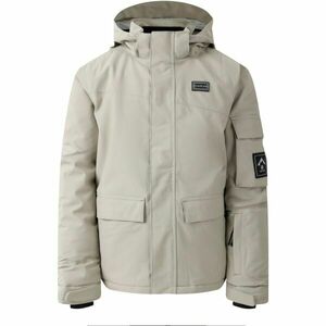 Dare2b SHREDDER Chlapecká lyžařská bunda, šedá, velikost 3-4Y obraz