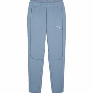 Puma TEAMFINAL CASUALS PANTS Pánské sportovní tepláky, modrá, velikost obraz