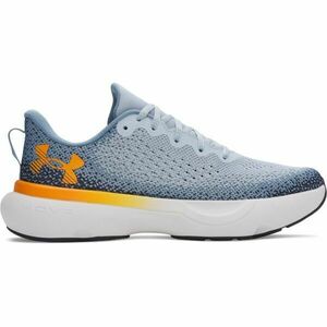 Under Armour INFINITE Pánské běžecké boty, šedá, velikost 42 obraz