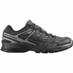 Salomon EXTEGRA GTX Pánská turistická obuv, tmavě šedá, velikost 45 1/3 obraz