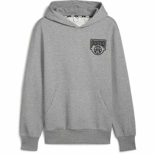 Puma POSTERIZE HOODIE Pánská mikina, šedá, velikost obraz