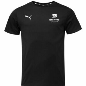 Puma TEAMGOAL CASUALS TEE - BK KVIS PARDUBICE Pánské triko, černá, velikost obraz