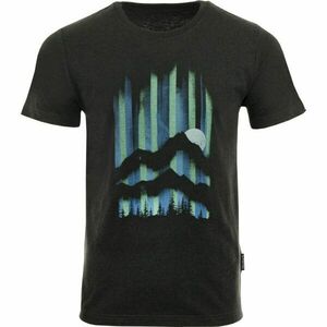 ALPINE PRO NEWEC Pánské triko, černá, velikost obraz