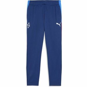Puma NEYMAR JR PLAYMAKER TRAINING PANT Pánské sportovní tepláky, modrá, velikost obraz