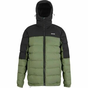 REGATTA OUTDOORS ALDTHORN Pánská bunda, zelená, velikost obraz