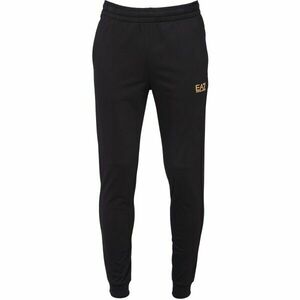 EA7 TRAIN CORE Pánské tepláky, černá, velikost obraz