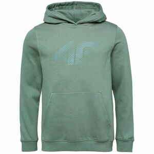 4F SWEATSHIRT Pánská mikina, tmavě zelená, velikost obraz