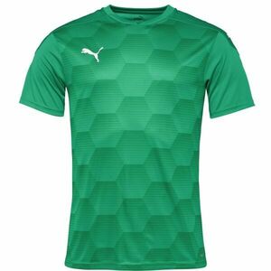 Puma TEAMFINAL 21 GRAPHIC JERSEY TEE Pánské sportovní triko, zelená, velikost obraz
