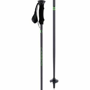 Arcore USP C1 Sportovní sjezdové hole, tmavě šedá, velikost obraz