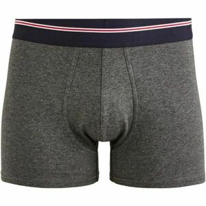 CELIO MIKE Pánské spodní prádlo, tmavě šedá, velikost obraz