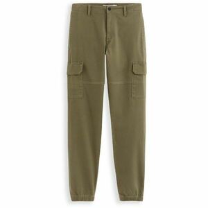 CELIO DOLYTE Pánské kalhoty, tmavě zelená, velikost obraz