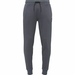 Willard MUNGI Pánské tepláky, šedá, velikost obraz