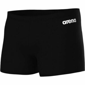 Arena TEAM Pánské nohavičkové plavky, černá, velikost obraz