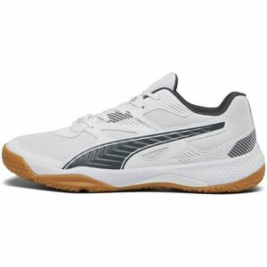 Puma SOLARFLASH II Pánská indoorová bota, bílá, velikost 46.5 obraz