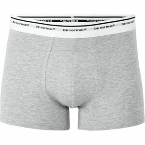CELIO BINORMAL1 Pánské spodní prádlo, šedá, velikost obraz