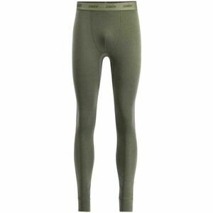 Swix RACEX MERINO Pánské funkční kalhoty, khaki, velikost obraz