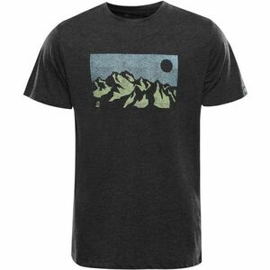 ALPINE PRO GREM 2 Pánské triko, černá, velikost obraz