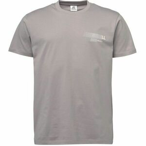 Russell Athletic SMALL LOGO Pánské tričko, šedá, velikost obraz