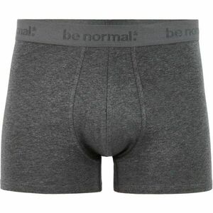 CELIO BINORMAL Pánské spodní prádlo, tmavě šedá, velikost obraz