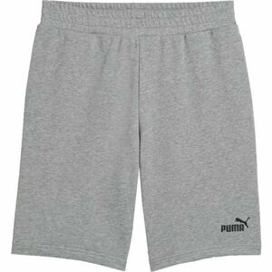 Puma ESSENTIALS NO. 1 SHORTS 10 Pánské volnočasové šortky, šedá, velikost obraz
