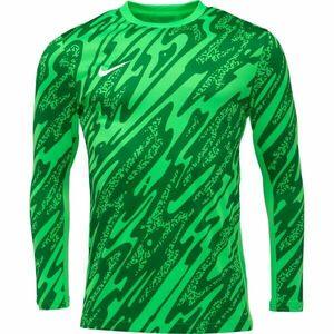 Nike DRI-FIT GARDIEN Pánský brankářský dres, tmavě zelená, velikost obraz