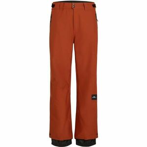 O'Neill FWC'PLAY SNOW Pánské lyžařské/snowboardové kalhoty, hnědá, velikost obraz