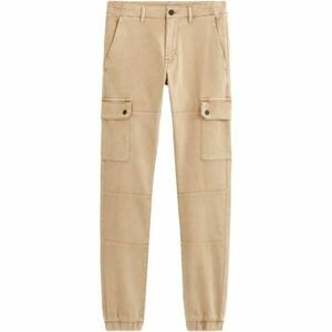 CELIO SOLYTE Pánské kalhoty, béžová, velikost obraz