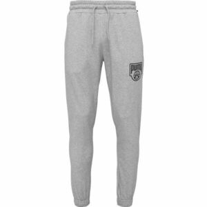Puma POSTERIZE SWEATPANT Pánské tepláky, šedá, velikost obraz