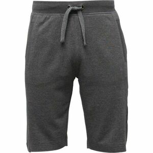 Kappa LOGO BILMER Pánské šortky, tmavě šedá, velikost obraz