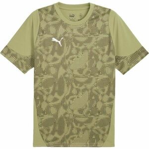 Puma TEAMCUP TRAINING JERSEY TEE Pánský dres, khaki, velikost obraz