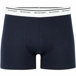 CELIO BINORMAL1 Pánské spodní prádlo, tmavě modrá, velikost obraz