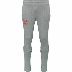 Puma TEAMEVOSTRIPE PANTS - BK PARDUBICE Pánské tepláky, šedá, velikost obraz