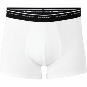 CELIO BINORMAL1 Pánské spodní prádlo, bílá, velikost obraz