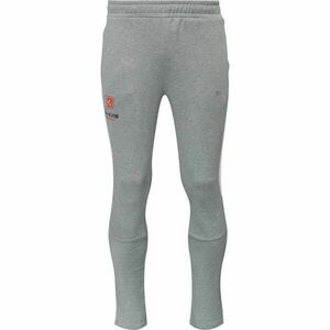 Puma TEAMEVOSTRIPE PANTS - BK KVIS PARDUBICE Pánské tepláky, šedá, velikost obraz