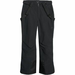 4F TROUSERS SKI Pánské lyžařské kalhoty, černá, velikost obraz