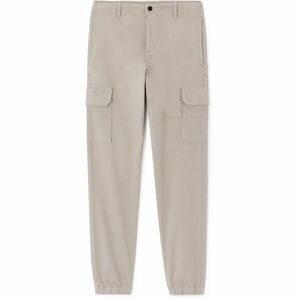 CELIO DOLYTE Pánské kalhoty, šedá, velikost obraz