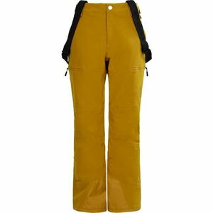 FUNDANGO TEAK Pánské lyžařské kalhoty, žlutá, velikost obraz