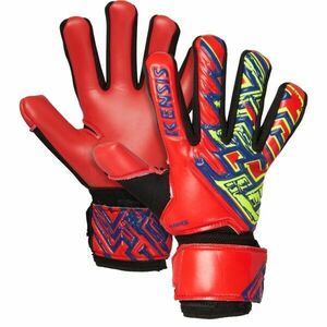 Kensis HAWKS YOUTH Juniorské brankářské rukavice, , velikost obraz