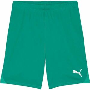 Puma TEAMGOAL SHORTS Pánské fotbalové šortky, zelená, velikost obraz