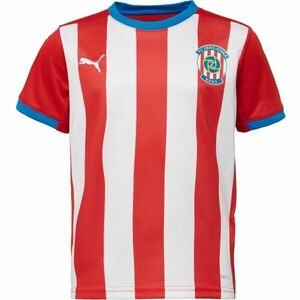 Puma FC ZBROJOVKA BRNO JR HOME JERSEY Dětský fotbalový dres, červená, velikost obraz
